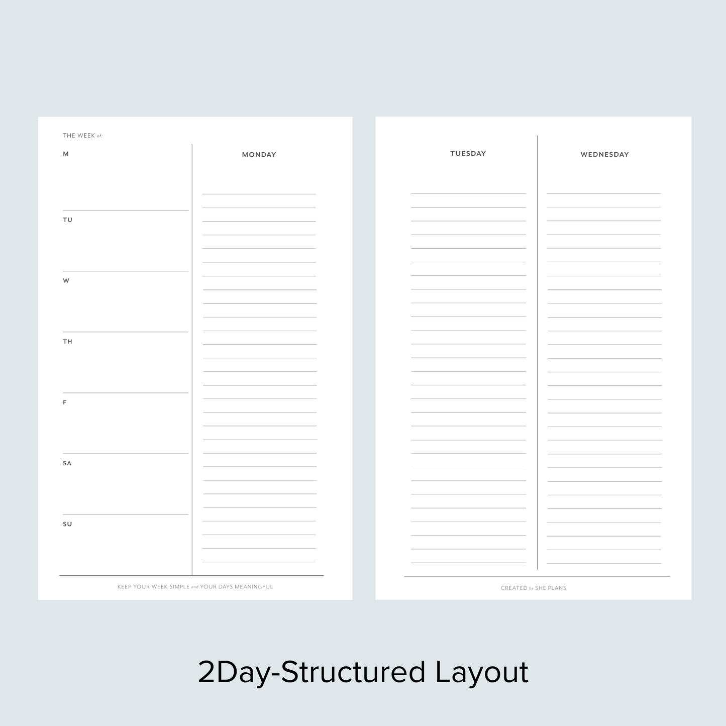 2Day-Structured Discbound Inserts (6 Months)