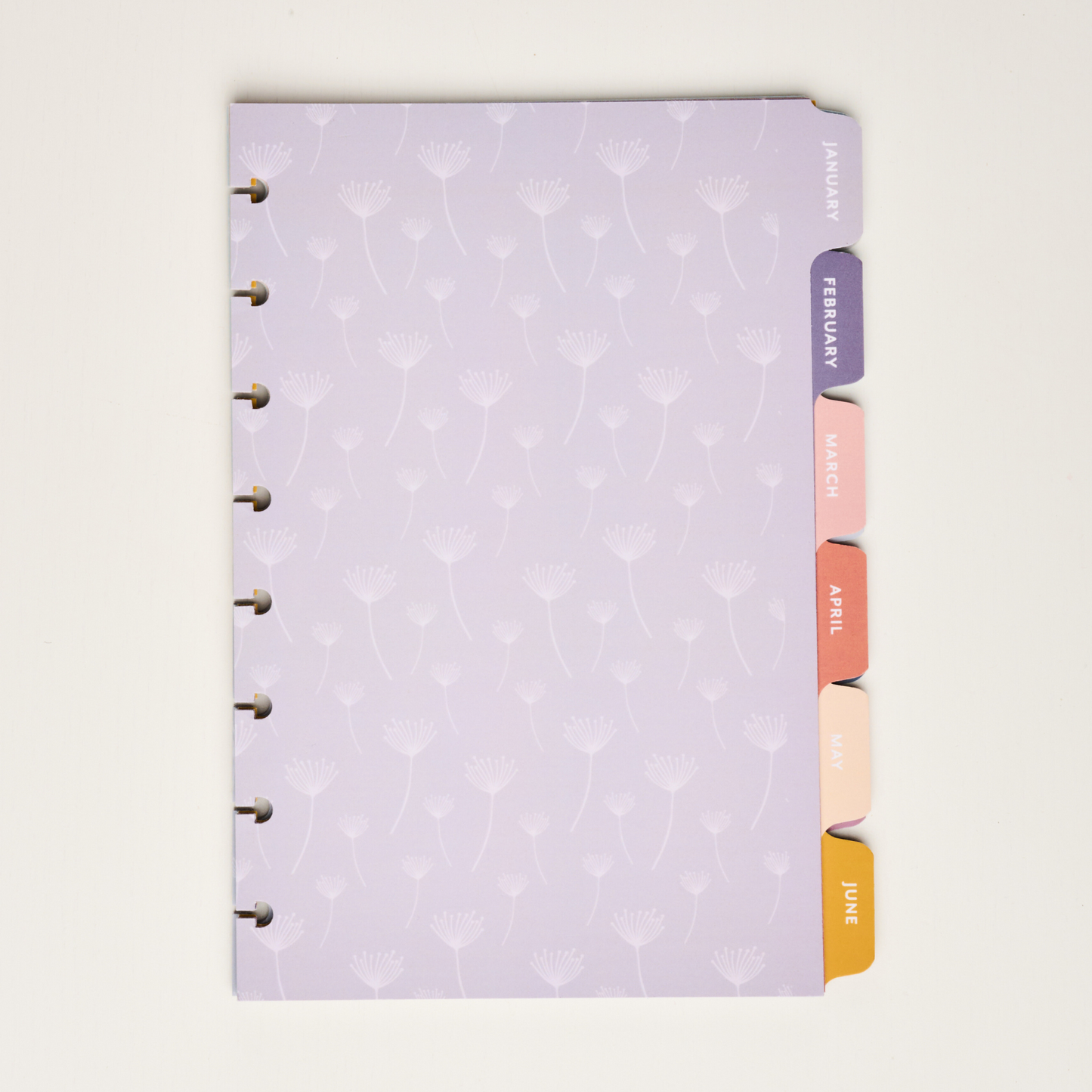 Half Letter Monthly Divider Tabs