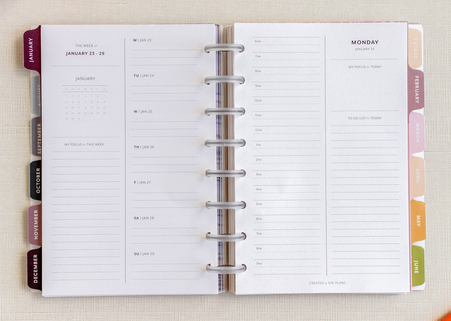 Dated Daily Planner Insert (Full Year 2026)