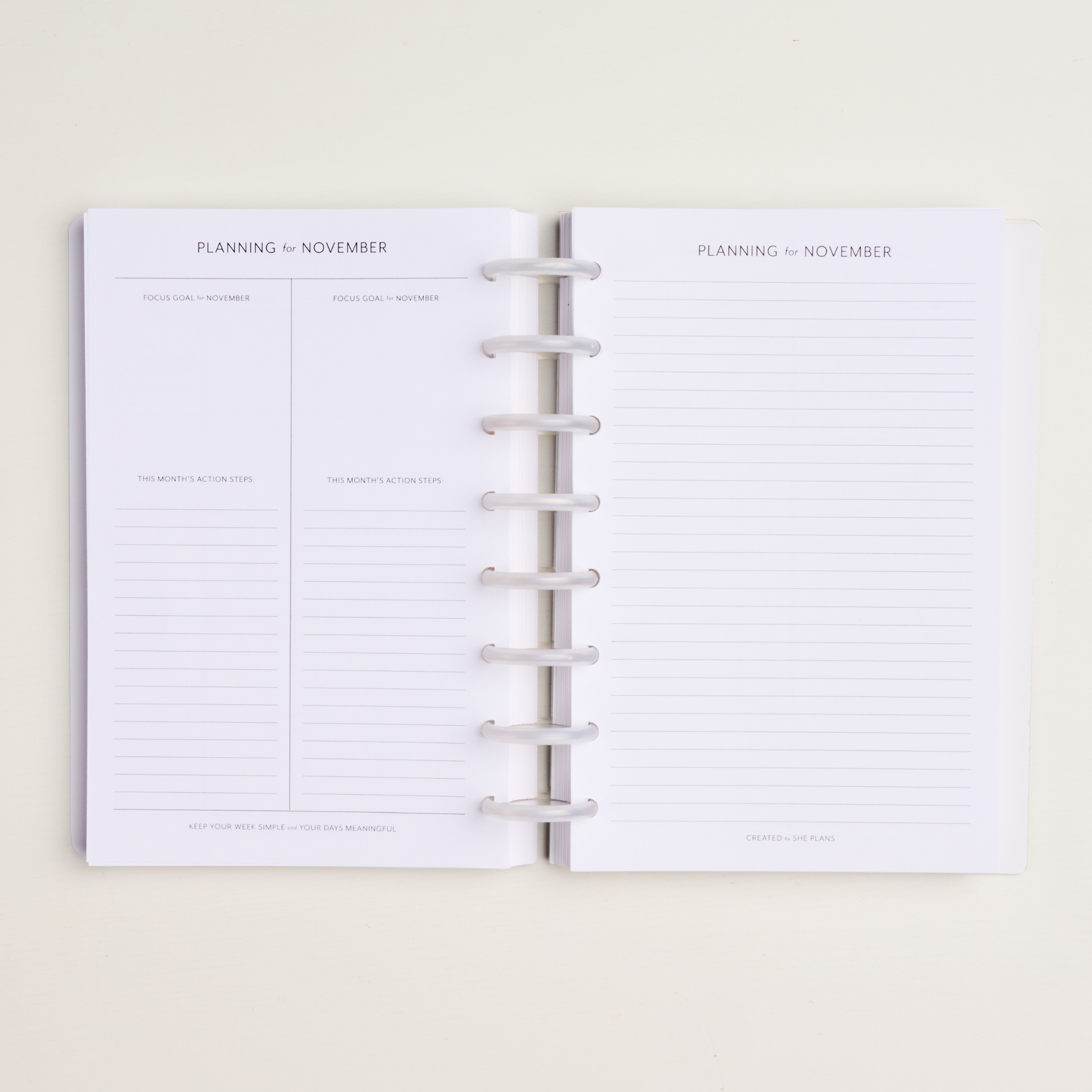 Dated Weekly Discbound Planner Insert Full Year 2024 She Plans
