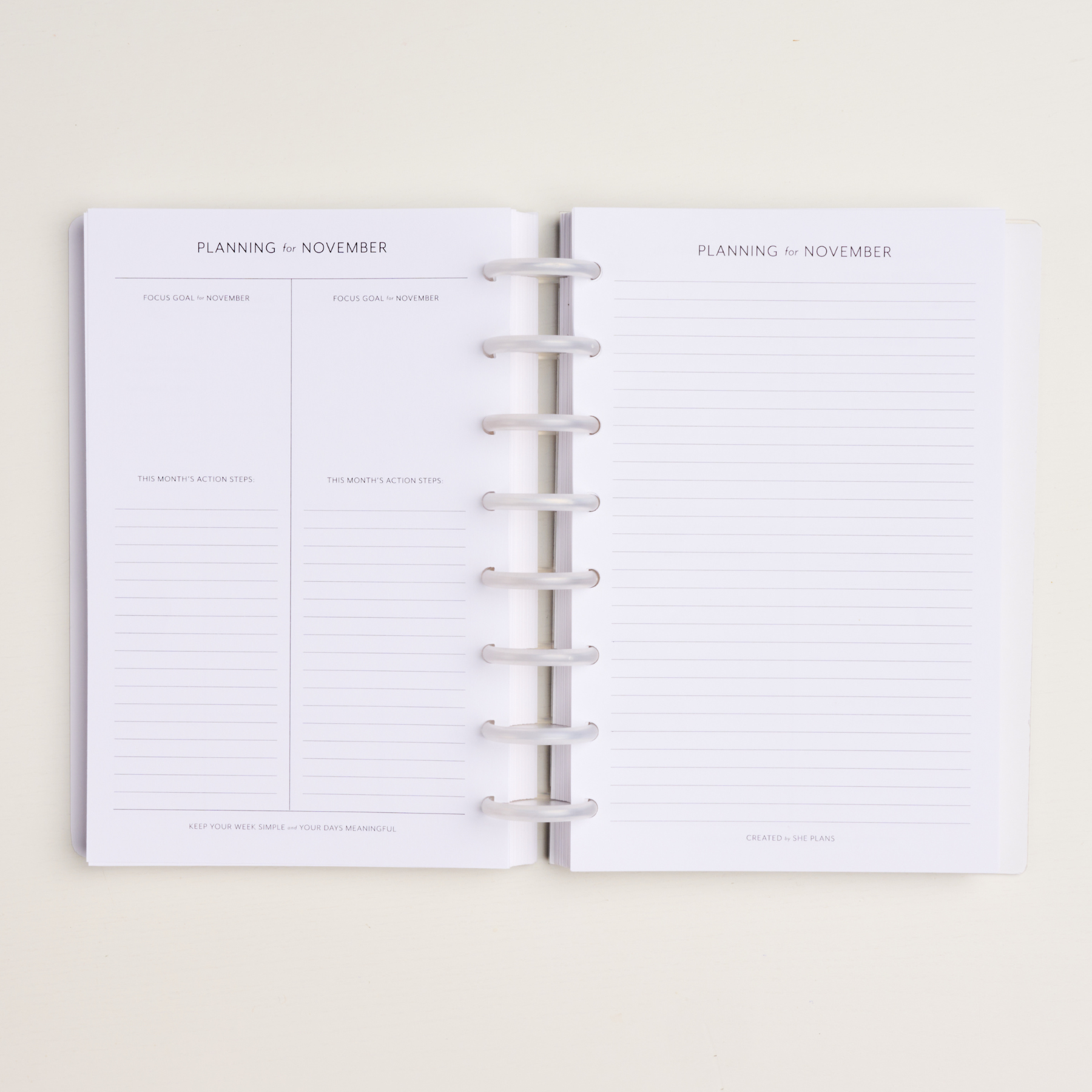 Dated Daily Planner Insert (Full Year 2024) – She Plans